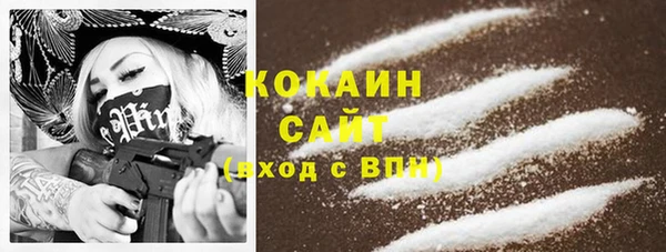 винт Майский