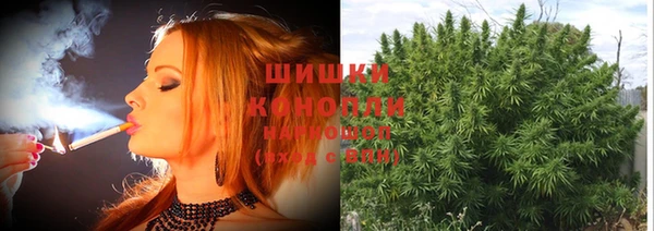 стафф Медвежьегорск