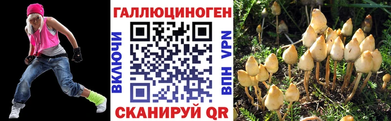 Псилоцибиновые грибы MAGIC MUSHROOMS  кракен зеркало  Рошаль  как найти  